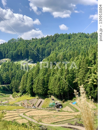 秋の収穫(稲刈り)が始まった棚田を見下ろす〈四谷千枚田/愛知県新城市〉 秋の収穫(稲刈り)が始まった棚田を見下ろす〈四谷千枚田/愛知県新城市〉 130918804