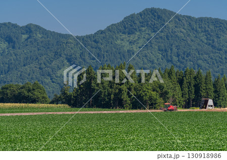 《新潟県》長閑な田園風景・自然豊かな津南町 130918986
