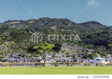 愛媛県八幡浜のみなっと広場とみかんの段々畑の夏景色 130919590