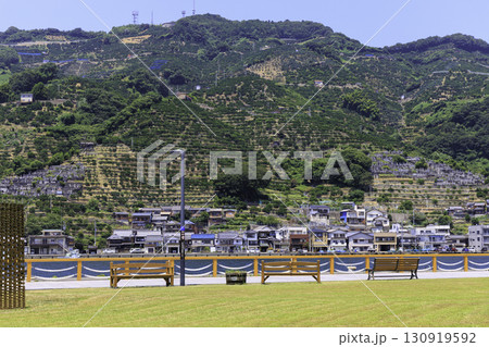 愛媛県八幡浜のみなっと広場とみかんの段々畑の夏景色 愛媛県八幡浜のみなっと広場とみかんの段々畑の夏景色 130919592
