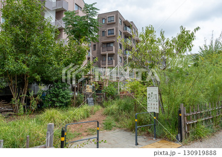 下北沢　循環をつくる街の圃場 130919888