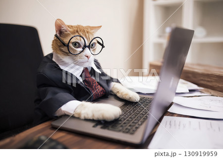 オフィスで働くめがね猫　AI生成画像 130919959
