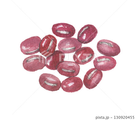 水彩で描いた小豆 アズキ 水彩で描いた小豆 アズキ 130920455
