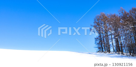 抜けるような青空と北海道美瑛町のシンプルな真冬の雪原風景 抜けるような青空と北海道美瑛町のシンプルな真冬の雪原風景 130921156