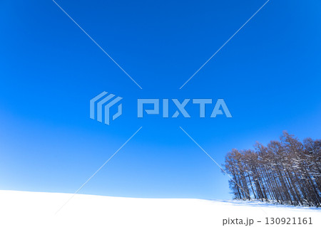 抜けるような青空と北海道美瑛町のシンプルな真冬の雪原風景 130921161