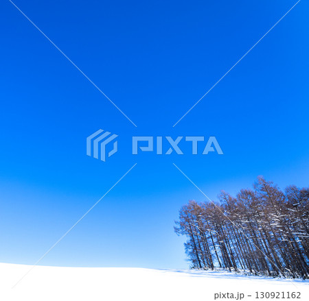 抜けるような青空と北海道美瑛町のシンプルな真冬の雪原風景 130921162