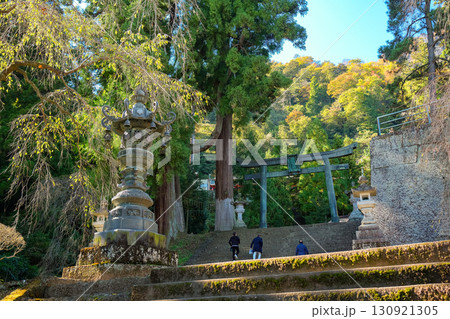 群馬県富岡市 妙義神社、参道と銅鳥居 群馬県富岡市 妙義神社、参道と銅鳥居 130921305
