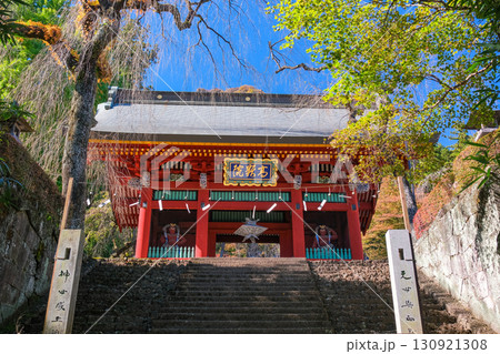 群馬県富岡市 妙義神社 130921308