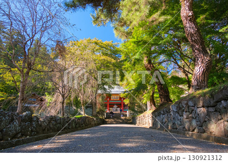 群馬県富岡市 妙義神社、総門 群馬県富岡市 妙義神社、総門 130921312