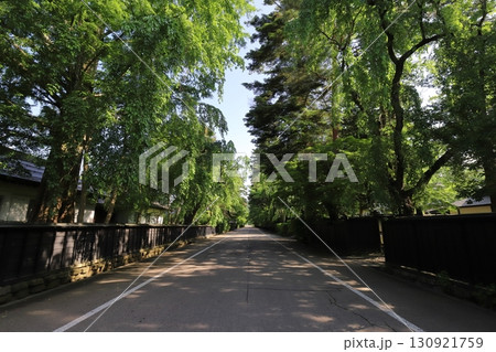 秋田 仙北 仙北市角館伝統的建造物群保存地区の街並み 秋田 仙北 仙北市角館伝統的建造物群保存地区の街並み 130921759