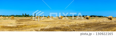 Round bales of straw rolled up on field on the sky background, autumnal harvest 130922165
