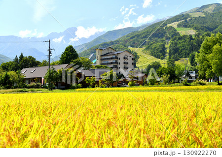 白馬八方温泉街より白馬八方尾根スキー場、五竜岳方面を望む(長野県白馬村)【2025.9】 白馬八方温泉街より白馬八方尾根スキー場、五竜岳方面を望む(長野県白馬村)【2025.9】 130922270
