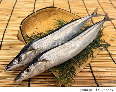 新鮮な秋刀魚 新鮮な秋刀魚 130922273