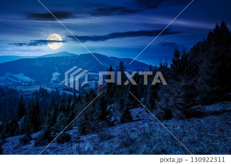 landscape with coniferous forest behind the meadow in autumn at night. nature background with blue sky and mountain ridge in full moon light. alpine woodland 130922311