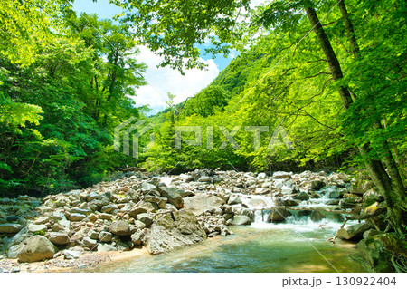 栃木県那須塩原市　緑の渓谷とスッカン沢 130922404