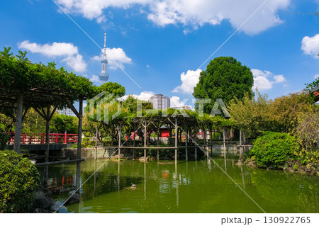 東京都江東区 亀戸天神社、心字池 130922765