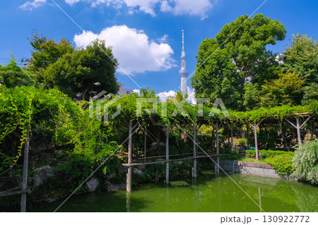 東京都江東区 亀戸天神社、心字池 東京都江東区 亀戸天神社、心字池 130922772