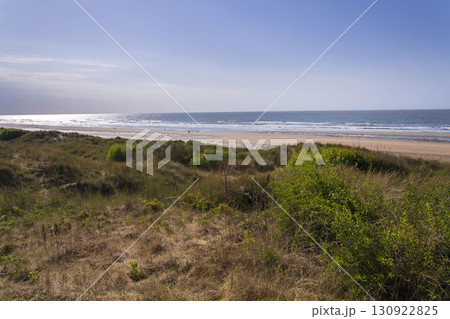 Dunes on beautiful sandy beach at the coastal village De Haan, West Flanders, Belgium, sunny summer day Dunes on beautiful sandy beach at the coastal village De Haan, West Flanders, Belgium, sunny summer day 130922825