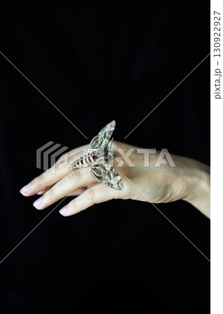 Butterfly sitting on woman hand over dark background Butterfly sitting on woman hand over dark background 130922927