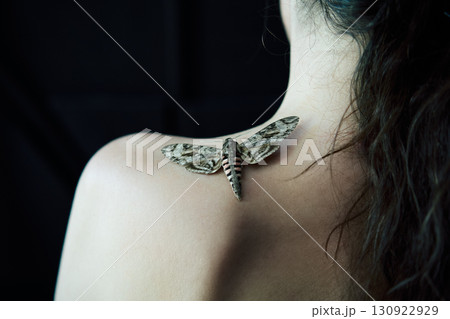 Butterfly sitting on woman shoulder close-up over dark background Butterfly sitting on woman shoulder close-up over dark background 130922929