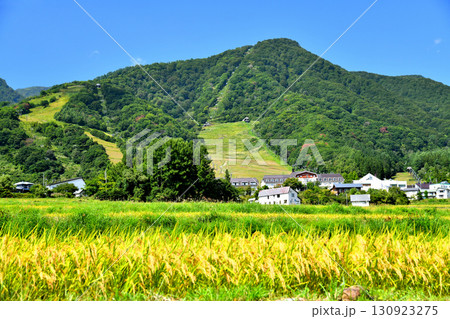 白馬乗鞍温泉スキー場周辺を望む(長野県小谷村)【2025.9】 白馬乗鞍温泉スキー場周辺を望む(長野県小谷村)【2025.9】 130923275