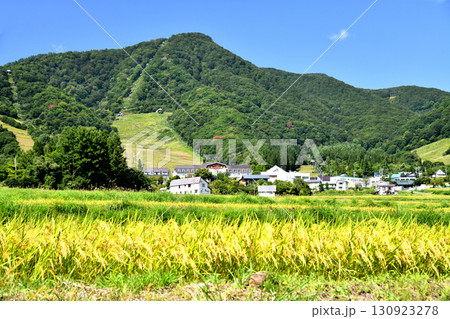 白馬乗鞍温泉スキー場周辺を望む(長野県小谷村)【2025.9】 130923278