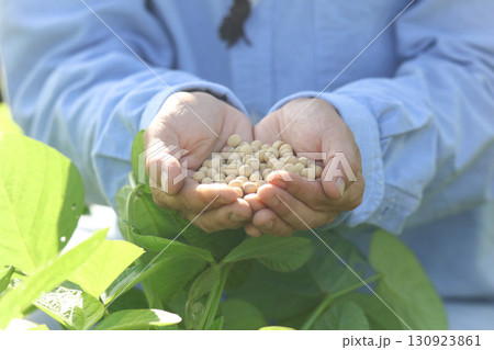 たくさんの大豆を持つ女性 たくさんの大豆を持つ女性 130923861