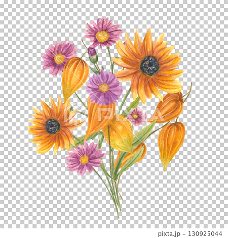 Physalis branches with bright orange lanterns, daisy and rudbeckia flowers bouquet watercolor illustration on isolated background. Autumn aster, sunflower for seasonal invitations, greeting cards. Physalis branches with bright orange lanterns, daisy and rudbeckia flowers bouquet watercolor illustration on isolated background. Autumn aster, sunflower for seasonal invitations, greeting cards. 130925044