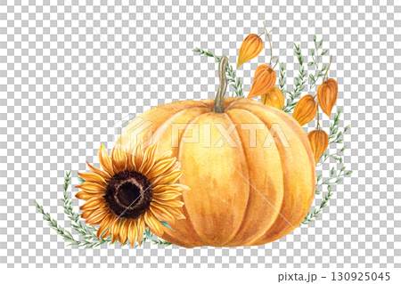 Watercolor yellow orange pumpkin, physalis, sunflower, and wild grasses illustration on isolated background. Autumn composition for seasonal designs, Thanksgiving, harvest festival packaging. Watercolor yellow orange pumpkin, physalis, sunflower, and wild grasses illustration on isolated background. Autumn composition for seasonal designs, Thanksgiving, harvest festival packaging. 130925045