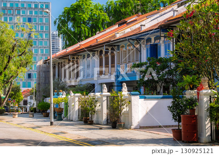 シンガポール プラナカン様式の建物が並ぶ「エメラルド・ヒル」 130925121