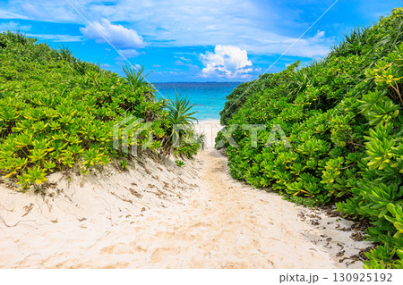 宮古島 砂山ビーチとエメラルドグリーンの海 130925192