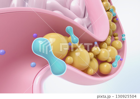 腸内に届く善玉菌の3Dアイコン 乳酸菌と健康な腸内環境 130925504