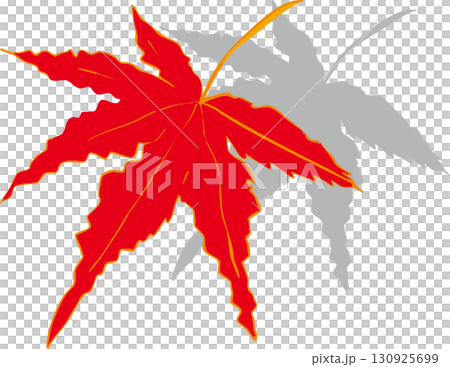 紅葉したカエデの葉のイラスト 130925699