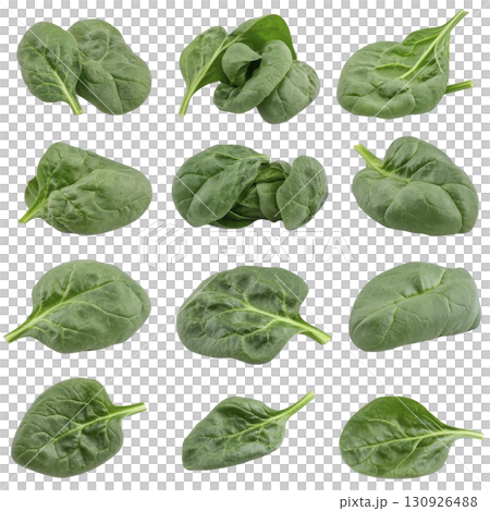 A Fresh spinach leaves are arranged in grid pattern, showcasing their vibrant green color and natural texture. Each leaf is unique in shape, highlighting variety found in nature A Fresh spinach leaves are arranged in grid pattern, showcasing their vibrant green color and natural texture. Each leaf is unique in shape, highlighting variety found in nature 130926488
