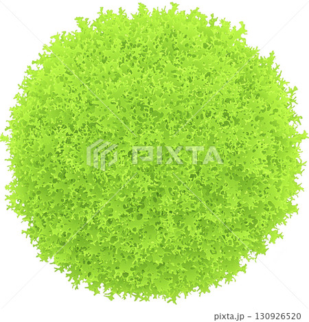 A vibrant green, round moss ball with textured surface, resembling lush, natural sphere. bright color and intricate details create lively and fresh appearance A vibrant green, round moss ball with textured surface, resembling lush, natural sphere. bright color and intricate details create lively and fresh appearance 130926520