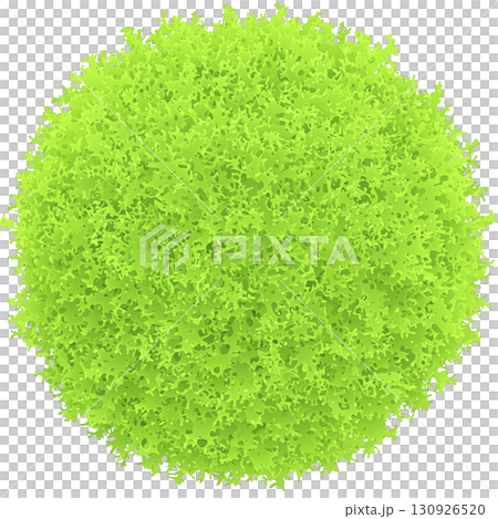 A vibrant green, round moss ball with textured surface, resembling lush, natural sphere. bright color and intricate details create lively and fresh appearance 130926520