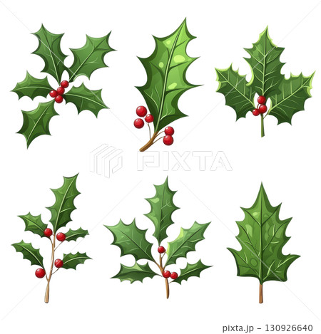 A Holly leaves with red berries are depicted in festive and vibrant style, showcasing different shapes and arrangements. illustration captures essence of holiday decoration 130926640