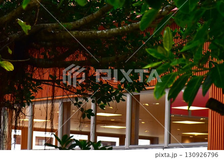照明の灯る店内と木立の対比 照明の灯る店内と木立の対比 130926796