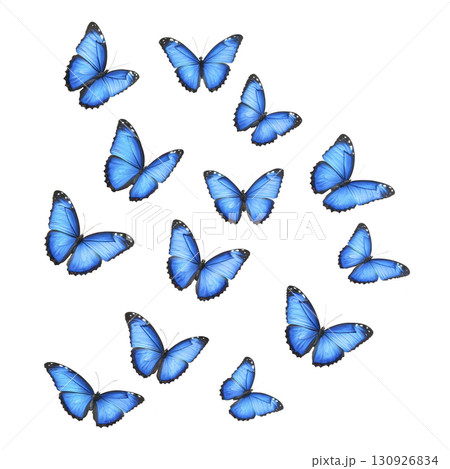 group of vibrant blue butterflies with delicate wings is gracefully flying against transparency background, creating sense of freedom and beauty 130926834