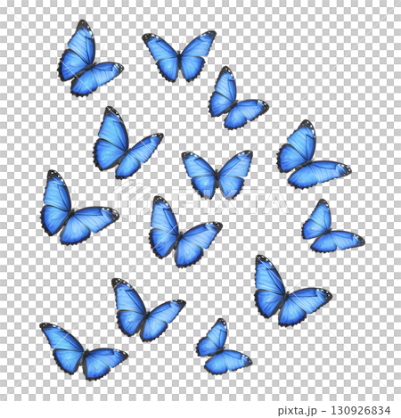group of vibrant blue butterflies with delicate wings is gracefully flying against transparency background, creating sense of freedom and beauty 130926834
