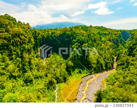 Landscape nature forest in Indonesia 130927343
