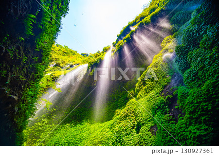 Beautiful waterfalls in sunny day,Bottom view Madakaripura Waterfall is the tallest waterfall in East Java, Indonesia 130927361