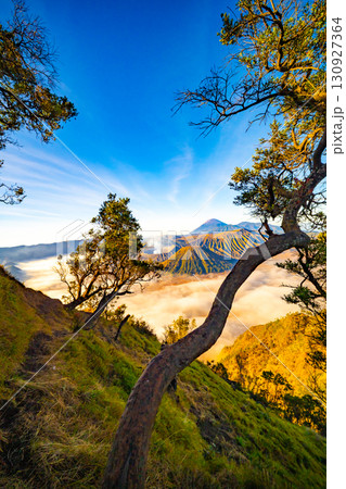 Aerial view Mountains at Bromo volcano during sunrise sky,Beautiful Mountains Penanjakan in Bromo Tengger Semeru National Park,East Java,Indonesia.Nature landscape background 130927364