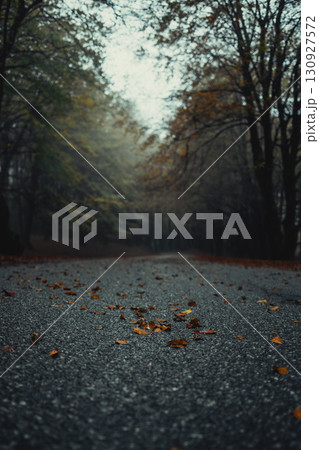 Leaves On The Concrete During Autumn  130927572