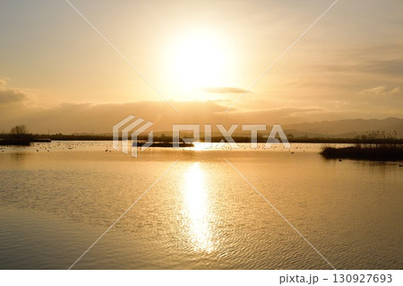朝の福島潟(新潟県) 朝の福島潟(新潟県) 130927693