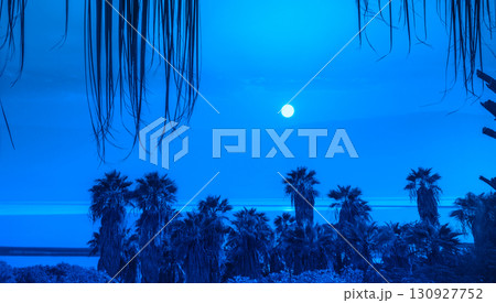 Row of tropical palm trees against the sunset sky. Blue colored. Sunset over the Dead Sea. Silhouette of tall palm trees. Tropical evening landscape 130927752