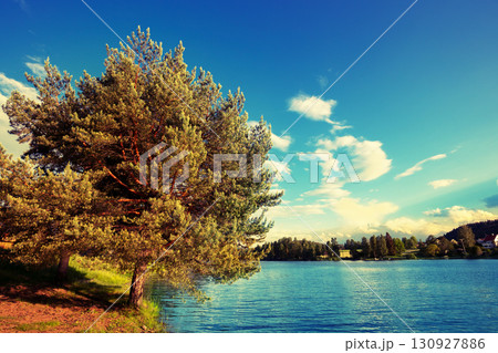 Lakeshore on a sunny day in autumn. View of Mjosa lake near Tangen. Beautiful nature of Norway, Europe 130927886