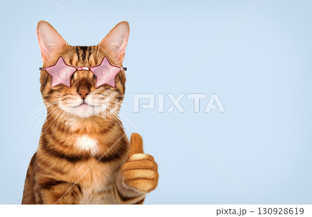 Bengal cat wearing glasses with thumb up on blue background Bengal cat wearing glasses with thumb up on blue background 130928619
