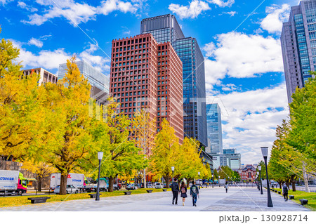 （東京）和田倉門のイチョウ並木　紅葉 130928714