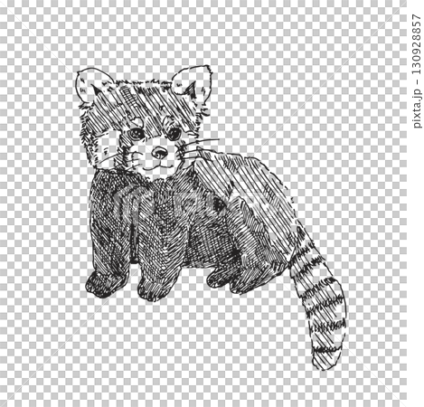 リアルな手描きのレッサーパンダのイラスト(線画) 130928857